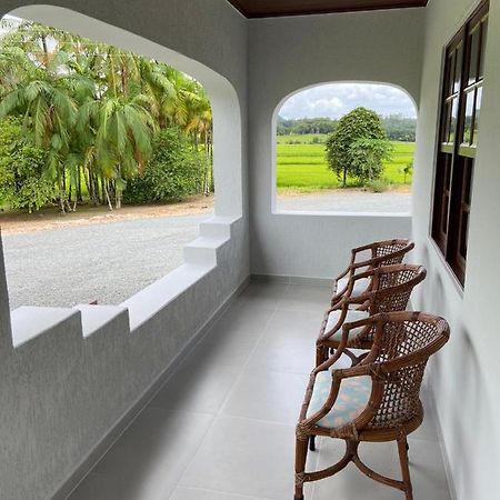 Casa Colonial Em Rio Dos Cedros Villa Eksteriør billede